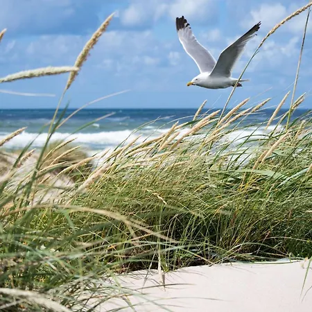 Duplex In Near Albertstrand Knokke-Heist
